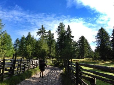 Cliquez pour découvrir toutes les photos de l'ÉTABLISSEMENT ! camping Park Baita Dolomiti And Village photo 21