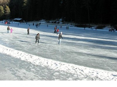 Cliquez pour découvrir toutes les photos de l'ÉTABLISSEMENT ! camping Park Baita Dolomiti And Village photo 23