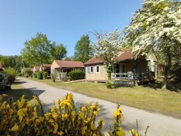 Camping Pas Cher vous présente avec son site Officiel campingpascher.fr, le Camping CARAVANING L'OREE DU BOIS classé 4 étoiles, situé sur la commune de Rang Du Fliers dans le département Pas-de-calais (Nord Pas De Calais) en France. Le camping CARAVANING L'OREE DU BOIS, vous présente un hébergement de type chalet de 34 m² et télévision. Le camping CARAVANING L'OREE DU BOIS vous propose du sam. 26 septembre au sam. 03 octobre 2026 pour 7 nuits à 445€. Cette location propose 71 dates différentes pour réserver votre séjour. Découvrez également les 6 autres gammes d'hébergements du camping. Les Avis clients pour le Camping CARAVANING L'OREE DU BOIS sont excellents avec une note moyenne de 8 sur 10. MerÉtang, Piscine chauffée, Piscine extérieure, Animation ados, Animation enfants, Animations familiales, Aire de jeux enfants, Ping-pong, Pétanque, Terrain de basketball, Terrain de football, Terrain de volley-ball, Boulangerie, Restaurant, Supermarché,... En savoir plus : cliquez-ICI.