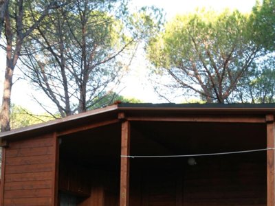 Cliquez pour découvrir toutes les photos de l'HÉBERGEMENT ! bungalow - Villaggio Calapineta photo 9
