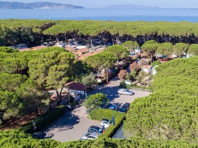Cliquez pour découvrir toutes les photos de l'ÉTABLISSEMENT ! camping Village Oasi photo 20
