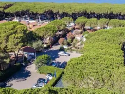 Cliquez pour découvrir toutes les photos de l'ÉTABLISSEMENT ! camping Village Oasi photo 30