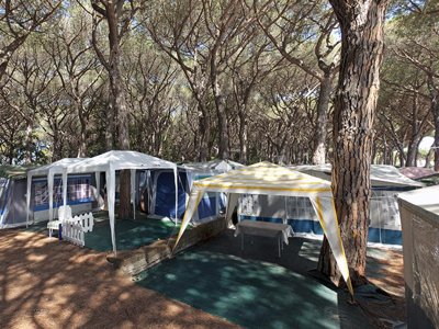 Cliquez pour découvrir toutes les photos de l'ÉTABLISSEMENT ! camping Village Oasi photo 9