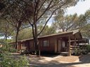 Cliquez pour découvrir toutes les photos de l'ÉTABLISSEMENT ! camping Village Oasi photo 10