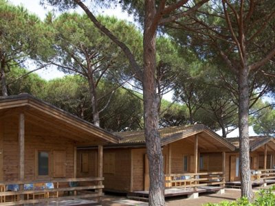 Cliquez pour découvrir toutes les photos de l'ÉTABLISSEMENT ! camping Village Africa photo 13
