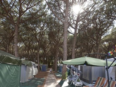 Cliquez pour découvrir toutes les photos de l'ÉTABLISSEMENT ! camping Village Africa photo 14