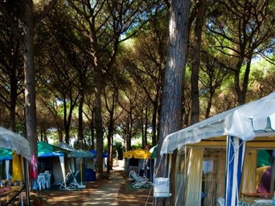 Cliquez pour découvrir toutes les photos de l'ÉTABLISSEMENT ! camping Village Africa photo 15