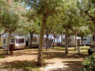 Cliquez pour découvrir toutes les photos de l'ÉTABLISSEMENT ! établissement International Torre Cerrano photo 14
