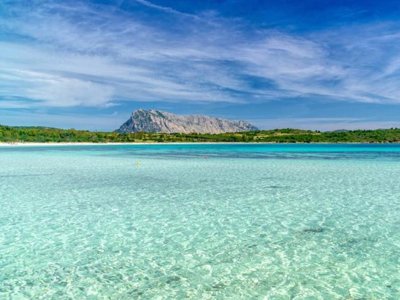 Cliquez pour découvrir toutes les photos de l'ÉTABLISSEMENT ! résidence Residenze Gallura photo 11