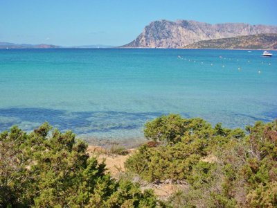 Cliquez pour découvrir toutes les photos de l'ÉTABLISSEMENT ! résidence Residenze Gallura photo 8