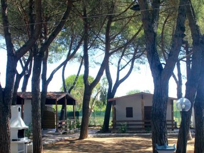 Cliquez pour découvrir toutes les photos de l'ÉTABLISSEMENT ! camping Serenella photo 14