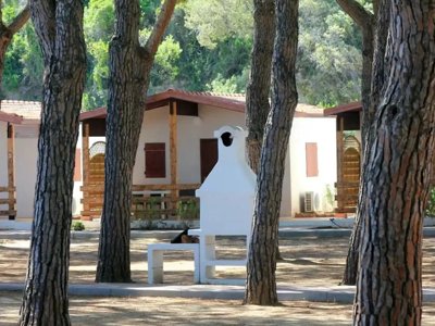 Cliquez pour découvrir toutes les photos de l'ÉTABLISSEMENT ! camping Serenella photo 16