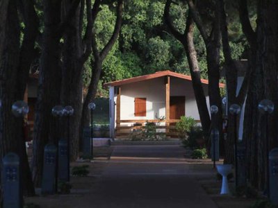 Cliquez pour découvrir toutes les photos de l'ÉTABLISSEMENT ! camping Serenella photo 23