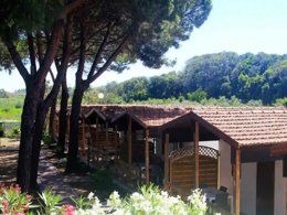 Camping Pas Cher vous présente avec son site Officiel campingpascher.fr, le Camping Serenella, situé sur la commune de Lido Del Sole dans le département Foggia (Pouilles) en Italie. Le camping Serenella, vous présente un hébergement de type bungalow. Le camping Serenella vous propose du dimanche 31 mai au dimanche 07 juin 2026 pour 7 nuits à 380€. Cette location propose 59 dates différentes pour réserver votre séjour. Découvrez également les 1 autres gammes d'hébergements du camping. Mer, Animations familiales, Aire de jeux enfants, Terrain de beach-volley, Bar, Restaurant, Snack/Bar,... En savoir plus : cliquez-ICI.