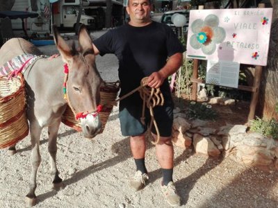 établissement Village El Bahira photo 8