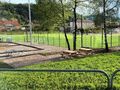 Cliquez pour découvrir toutes les photos de l'ÉTABLISSEMENT ! établissement Au Coeur Des Vignes photo 2