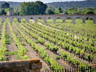 Cliquez pour découvrir toutes les photos de l'ÉTABLISSEMENT ! établissement La Du Château De Jouarres photo 10