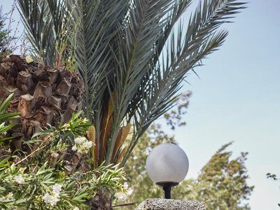 Cliquez pour découvrir toutes les photos de l'ÉTABLISSEMENT ! camping TAIGA Tarifa Punta Paloma photo 12