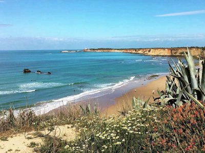 Cliquez pour découvrir toutes les photos de l'ÉTABLISSEMENT ! camping TAIGA Tarifa Punta Paloma photo 2