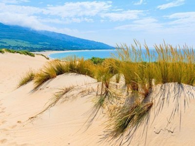 Cliquez pour découvrir toutes les photos de l'ÉTABLISSEMENT ! camping TAIGA Tarifa Punta Paloma photo 29