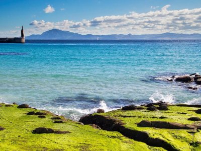 Cliquez pour découvrir toutes les photos de l'ÉTABLISSEMENT ! camping TAIGA Tarifa Punta Paloma photo 30