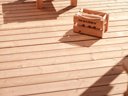 Cliquez pour découvrir toutes les photos de l'HÉBERGEMENT ! mobil-home - camping Slow Village Marennes Oléron photo 9