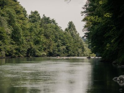 Cliquez pour découvrir toutes les photos de l'ÉTABLISSEMENT ! camping Forest Mozirje photo 13