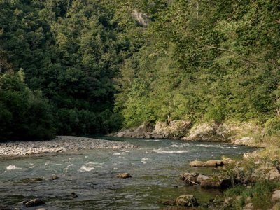 Cliquez pour découvrir toutes les photos de l'ÉTABLISSEMENT ! camping Forest Mozirje photo 15