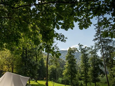 Cliquez pour découvrir toutes les photos de l'ÉTABLISSEMENT ! camping Forest Mozirje photo 20
