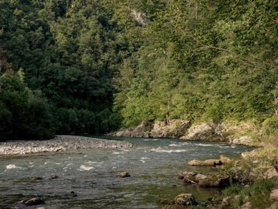 Cliquez pour découvrir toutes les photos de l'ÉTABLISSEMENT ! camping Forest Mozirje photo 22