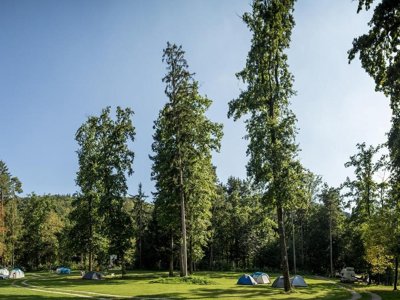 Cliquez pour découvrir toutes les photos de l'ÉTABLISSEMENT ! camping Forest Mozirje photo 8