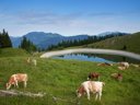 Camping Pas Cher vous présente avec son site Officiel campingpascher.fr, le Camping Forest Mozirje, situé sur la commune de Mozirje dans le département Slovenie (Slovenie) en Slovenie. Le camping Forest Mozirje, vous présente un hébergement de type hébergement insolite. Le camping Forest Mozirje vous propose du lundi 14 septembre au lundi 21 septembre 2026 pour 7 nuits à 455€. Cette location propose 48 dates différentes pour réserver votre séjour. Découvrez également les 1 autres gammes d'hébergements du camping. Aire de jeux enfants, Escalade, Ping-pong, Randonnée, Terrain de badminton, Terrain de basketball, Terrain de football, Terrain de volley-ball,... En savoir plus : cliquez-ICI.