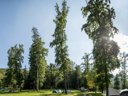 Cliquez pour découvrir toutes les photos de l'ÉTABLISSEMENT ! camping Forest Mozirje photo 7