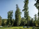 Cliquez pour découvrir toutes les photos de l'ÉTABLISSEMENT ! camping Forest Mozirje photo 8