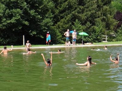 Cliquez pour découvrir toutes les photos de l'ÉTABLISSEMENT ! camping Moulin De David photo 11