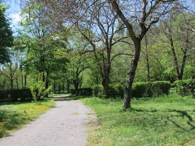 Cliquez pour découvrir toutes les photos de l'ÉTABLISSEMENT ! camping Vert Lavande photo 17