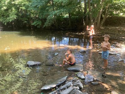 Cliquez pour découvrir toutes les photos de l'ÉTABLISSEMENT ! camping Vert Lavande photo 23