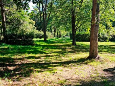 Cliquez pour découvrir toutes les photos de l'ÉTABLISSEMENT ! camping Vert Lavande photo 5
