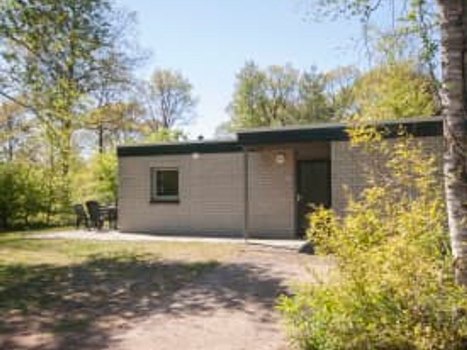 Camping Pas Cher vous présente avec son site Officiel campingpascher.fr, le Établissement Rcn Vakantiepark De Roggeberg, situé sur la commune de Appelscha dans le département Ooststellingwerf (Frise) au Pays-bas. L'établissement Rcn Vakantiepark De Roggeberg vous propose un hébergement de type bungalow. L'établissement vous propose 13 autres types d'hébergements. Découvrez tous nos séjours à petits prix dans la commune et aux alentours de Appelscha du département : Ooststellingwerf (Frise).... En savoir plus : cliquez-ICI.