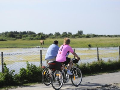 Cliquez pour découvrir toutes les photos de l'ÉTABLISSEMENT ! résidence Pierre & Vacances Premium De La Plage photo 11