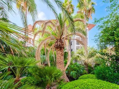 Cliquez pour découvrir toutes les photos de l'ÉTABLISSEMENT ! village vacances Pierre & Vacances Premium Port Prestige photo 8