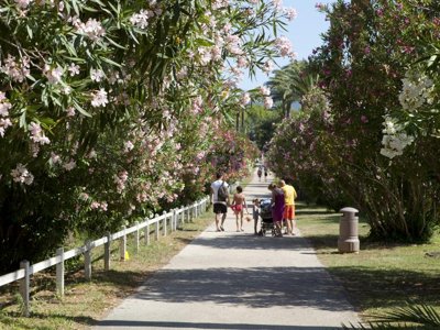 Cliquez pour découvrir toutes les photos de l'ÉTABLISSEMENT ! résidence Pierre & Vacances Les Parcs De Grimaud photo 9