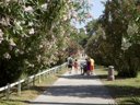 Cliquez pour découvrir toutes les photos de l'ÉTABLISSEMENT ! résidence Pierre & Vacances Les Parcs De Grimaud photo 9