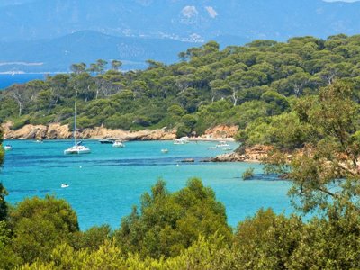 Cliquez pour découvrir toutes les photos de l'ÉTABLISSEMENT ! résidence Pierre & Vacances La Pinède photo 15