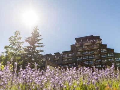 Cliquez pour découvrir toutes les photos de l'ÉTABLISSEMENT ! résidence Pierre & Vacances L'Ours Blanc photo 18