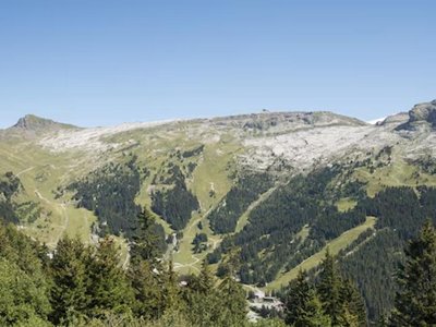 Cliquez pour découvrir toutes les photos de l'ÉTABLISSEMENT ! résidence Pierre & Vacances La Forêt photo 17