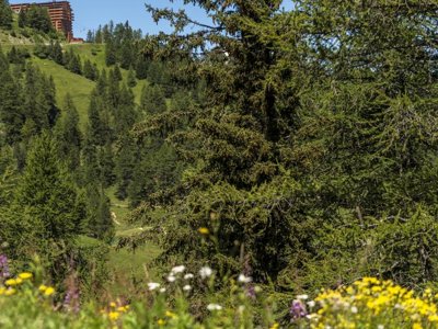 Cliquez pour découvrir toutes les photos de l'ÉTABLISSEMENT ! résidence Pierre & Vacances Premium Les Hauts Bois photo 14