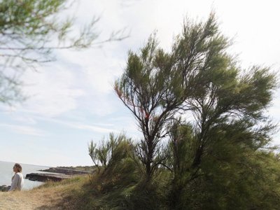 Cliquez pour découvrir toutes les photos de l'ÉTABLISSEMENT ! résidence Pierre & Vacances Le Fort De La Rade photo 13
