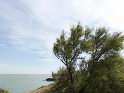 Cliquez pour découvrir toutes les photos de l'ÉTABLISSEMENT ! résidence Pierre & Vacances Le Fort De La Rade photo 16