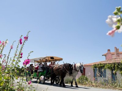Cliquez pour découvrir toutes les photos de l'ÉTABLISSEMENT ! résidence Pierre & Vacances Le Fort De La Rade photo 18